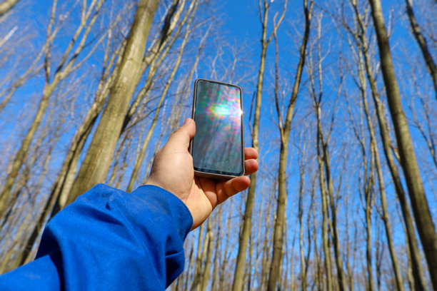 这张照片展示了一只手握着智能手机，背景是高大的树木和明亮的蓝天。智能手机反射着阳光，屏幕上产生了眩光。图片下载