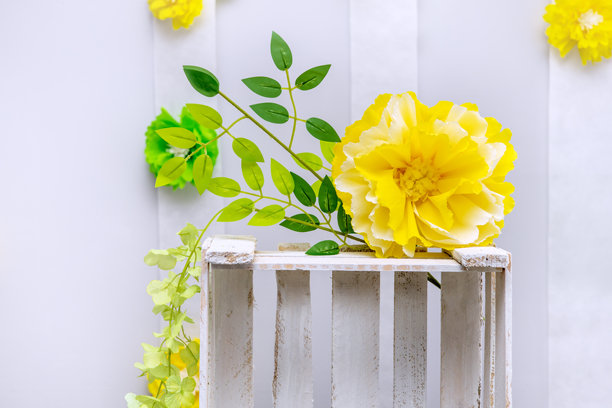 美丽的春季照片背景：用自己双手制作的黄色和绿色波纹纸花。三月和四月拍照的季节。图片下载