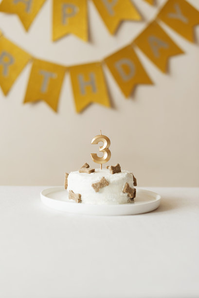 自制的狗狗生日蛋糕，上面放着零食和一个数字三的蜡烛。为宠物生日庆祝活动布置的照片区。图片下载