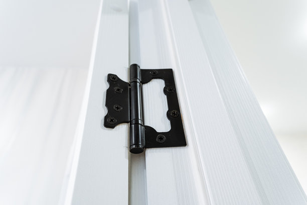 这张图片展示了白色门上黑色门铰链的细致特写。图片下载