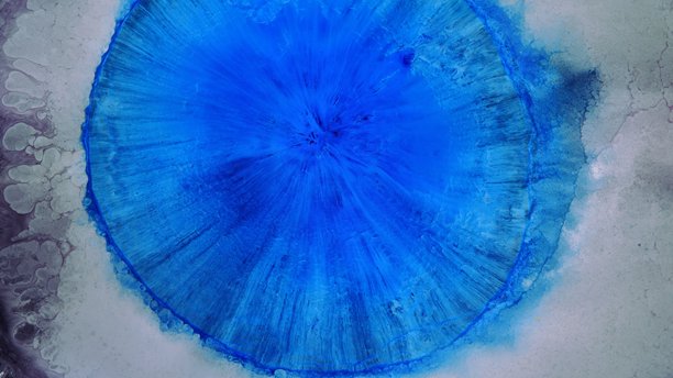 抽象的多彩花朵背景。独特的屏幕保护程序图片。背景图像。丙烯颜料。酒精墨水。图片下载