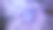 抽象的多彩花朵背景。独特的屏幕保护程序图片。背景图像。丙烯颜料。酒精墨水。图片下载