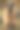 草地上公羊的特写肖像。搞笑动物照片。捷克共和国乡村的小农场。图片下载