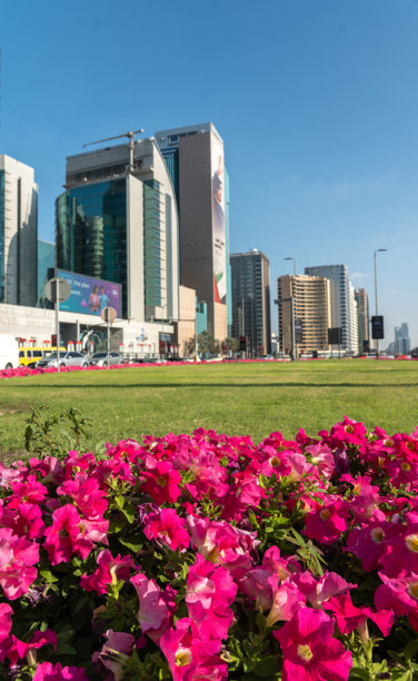 阿布扎比的哈姆丹街，背景是贸易中心和阿尔希拉尔银行大厦，新闻图片图片下载