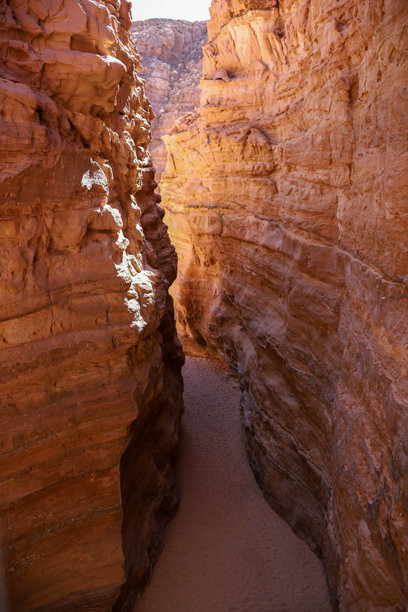 一张俯视狭窄峡谷的照片，峡谷两侧是高耸的砂岩墙。图片下载