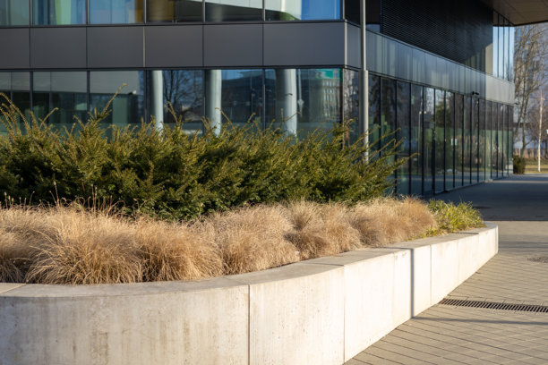 办公室附近的观赏灌木和植物。城市环境中的美丽花坛。高质量照片。新型城市住宅。图片下载