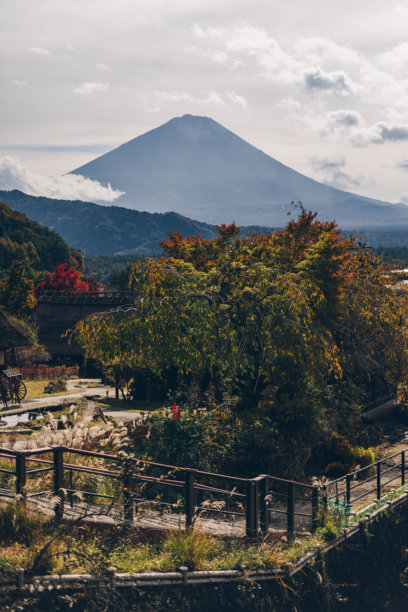富士山与樱花的库存照片图片下载