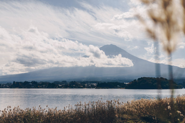 富士山与樱花的库存照片图片下载