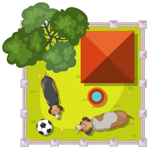 两只狗在围起来的院子里玩耍图片下载