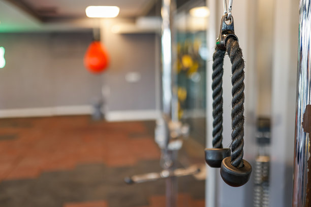 健身器材 - 哑铃、跳绳和杠铃库存照片图片下载