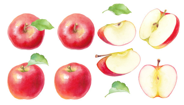 水彩插图展示新鲜的红苹果。整只苹果和切开的苹果的组合。图片下载