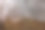 这张照片展示了一个冬季森林景观，狭窄的小路穿过森林。树木覆盖着霜冻，营造出寒冷和冬季清新的感觉。图片下载