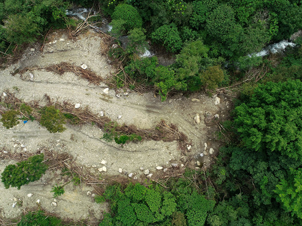 破坏河流和森林的挖掘机作业的鸟瞰图-库存照片图片下载