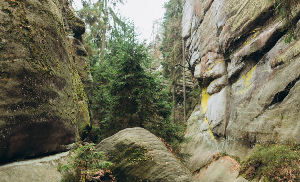 捷克共和国阿德尔斯帕赫的岩石城市。砂岩纹理，阿德尔斯帕赫-特普利采国家公园的岩石。高质量照片。自然背景。图片下载