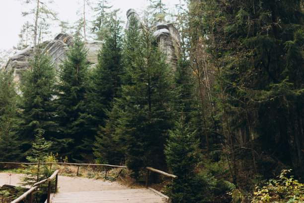 森林中的木栈道。捷克共和国阿德尔斯帕赫的岩石城。砂岩的纹理，阿德尔斯帕赫-特普利采国家公园的岩石。高质量照片。自然背景。图片下载