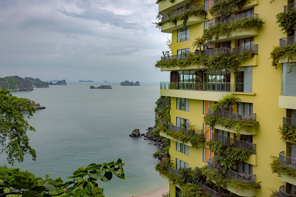 覆盖黄色植物的建筑俯瞰着宁静的海洋。照片拍摄于阴天的下龙湾。图片下载