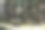 在阳光斑驳的森林小径上骑行。两位骑山地车的人享受着美丽的骑行。图片下载