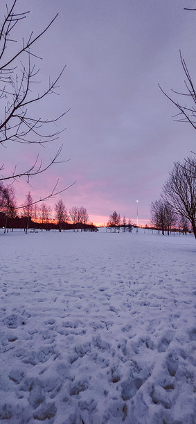 壮丽的冬季风景在火红的黎明中。美丽的公园自然景观，阳光闪耀，俄罗斯圣彼得堡。竖版照片图片下载