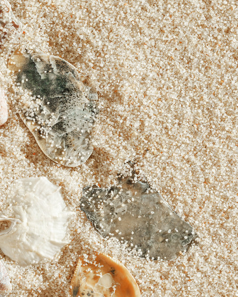 米色沙滩上的极简美学贝壳图案，自然海洋和夏季质感背景，夏季放松，俯视照片中有精致的柔和色彩贝壳，休闲海滩壁纸图片下载