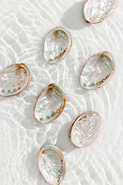 五彩斑斓的贝壳漂浮在阳光闪烁的透明海水上。自然质感的贝壳在阳光下明亮而闪耀，极简美学的静物照片，夏日氛围。图片下载