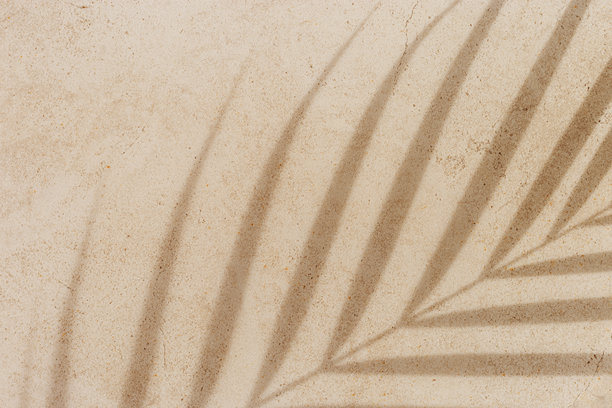 夏季背景，棕榈叶在沙色背景上的阳光影子俯视图。夏季美学照片，浅米色，留白，无人，度假与休闲概念。抽象俯视图。图片下载