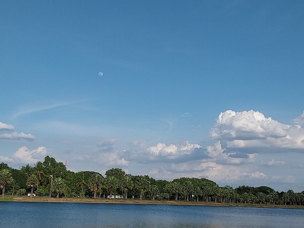 公园美丽景色的照片图片下载