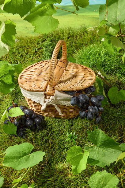 关于农场新鲜水果的宣传照片系列图片下载