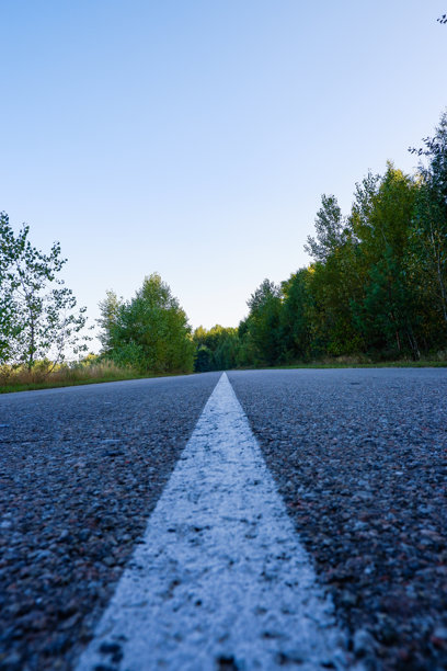 垂直照片。一条被绿色树木环绕的空旷沥青道路。特写路面标线。图片下载