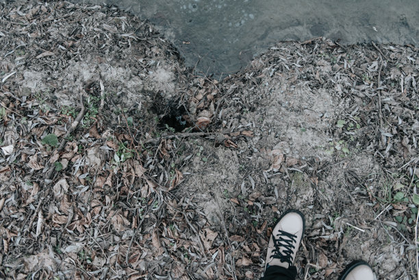 背景。薄而结霜的冰面特写。细致的蓝色图案背景照片图片下载