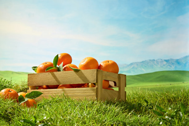 关于农场新鲜水果的促销照片系列图片下载