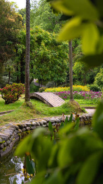 美丽的花园，池塘、小路、树木和花朵，夏日的景象。竖版照片图片下载