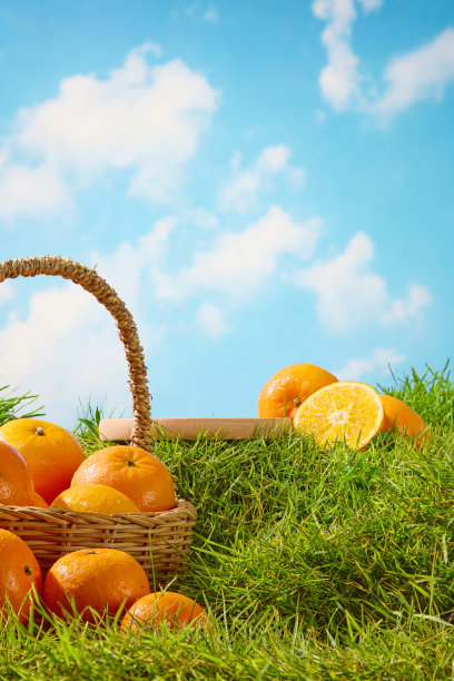 关于农场新鲜水果的宣传照片系列图片下载