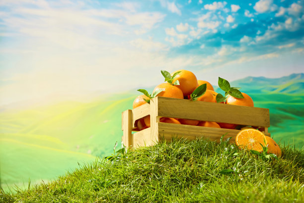 关于农场新鲜水果的促销照片系列图片下载