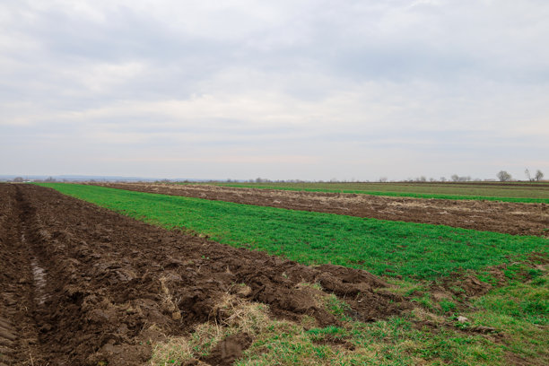 一张宽阔的田野照片，交替出现耕作土地和嫩绿草坪。耕作土地呈深棕色，沟壑深邃，而草坪则鲜艳的绿色。图片下载