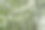 盛开的苹果树花朵背景，适用于出版、设计、海报、日历、帖子、屏保、壁纸、明信片、横幅、封面和网站。高质量照片图片下载