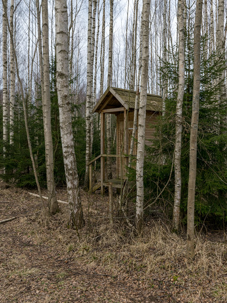 湖边的野餐地点图片图片下载