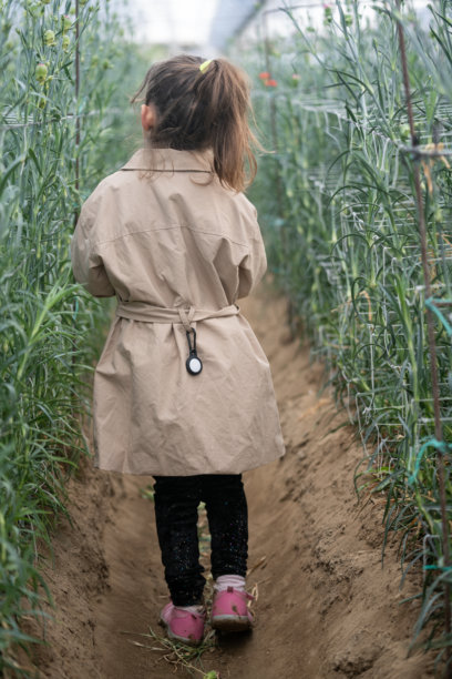 幼儿园女孩手持全球定位设备在迷宫中行走的照片图片下载