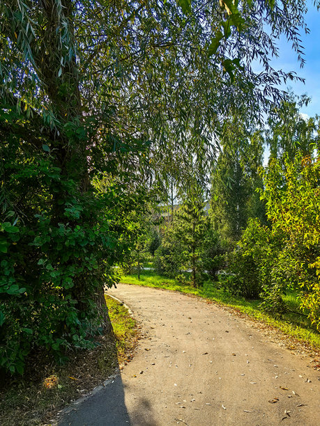 城市公园中有转弯的人行道，旁边种植着树木，远处是五层苏联时期建造的房屋。秋天。俄罗斯。下诺夫哥罗德。斯维特洛亚尔斯基公园。2024年9月。照片。图片下载