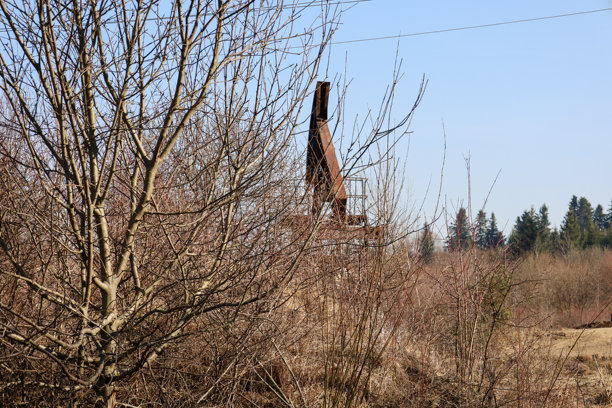 这张照片展示了一座被遗弃的工业建筑，隐约可见于干枯的灌木丛和光秃的树木后面。图片下载