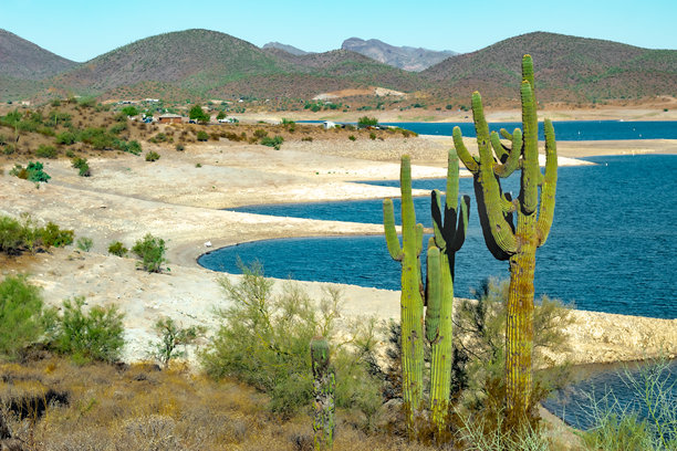 在亚利桑那州凤凰城索诺兰沙漠的湖愉悦，仙人掌和山脉的景色。照片拍摄于晴朗的蓝天日。图片下载