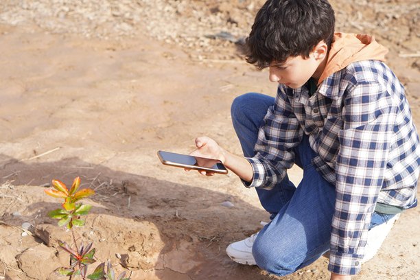 环境教育与青春期。一个青少年用手机拍摄植物的照片。图片下载