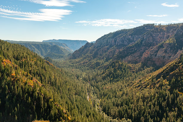 亚利桑那州弗拉格斯塔夫的峡谷山景中的秋季森林树木。照片拍摄于晴朗的日子。图片下载
