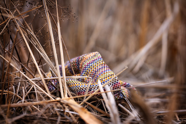 温暖背景的彩色羊毛围巾与自然背景的照片，艺术作品呈现柔和的暖色调。图片下载