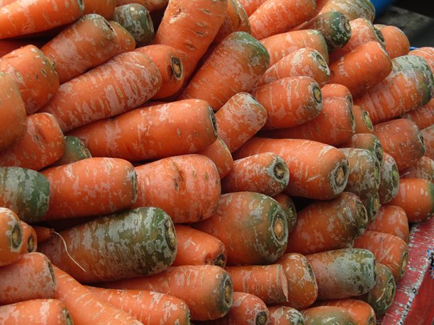 胡萝卜蔬菜特写照片。色彩斑斓的自然背景图片下载