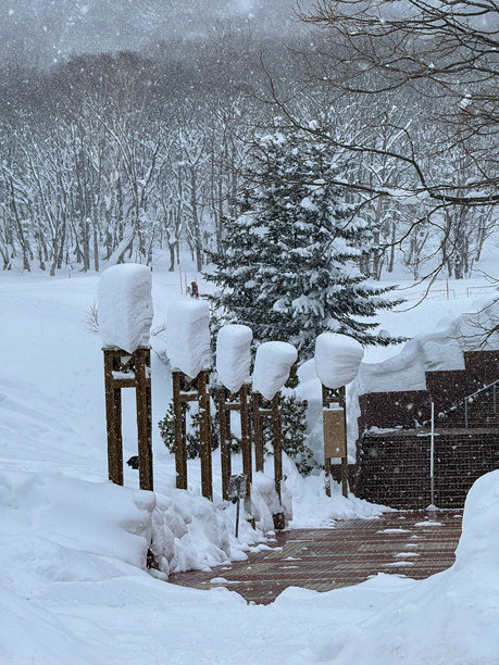 垂直：雪覆盖的木柱沿着清理过的人行道的风景照片。图片下载