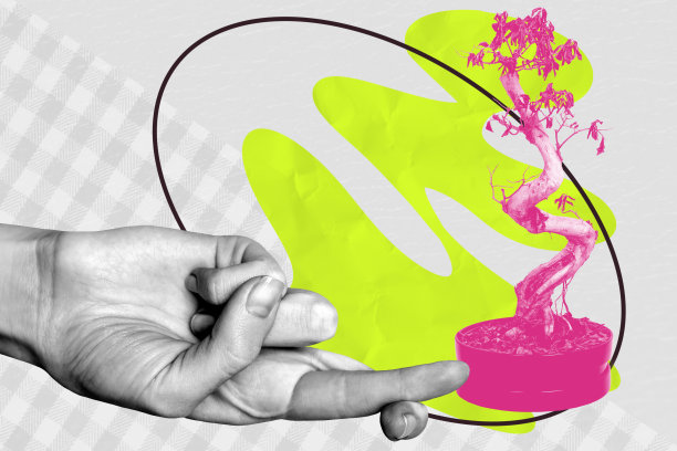 趋势复合素描模板照片拼贴，手势肢体语言，手指交叉，象征希望，花卉，自然，季节，植物，盆栽图片下载