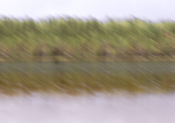 美丽的风景。湖边高大的针叶树。高大的冷杉树。寒冷的北方景观。背景留有空白空间。室内海报。房屋的图片。室内摄影。图片下载