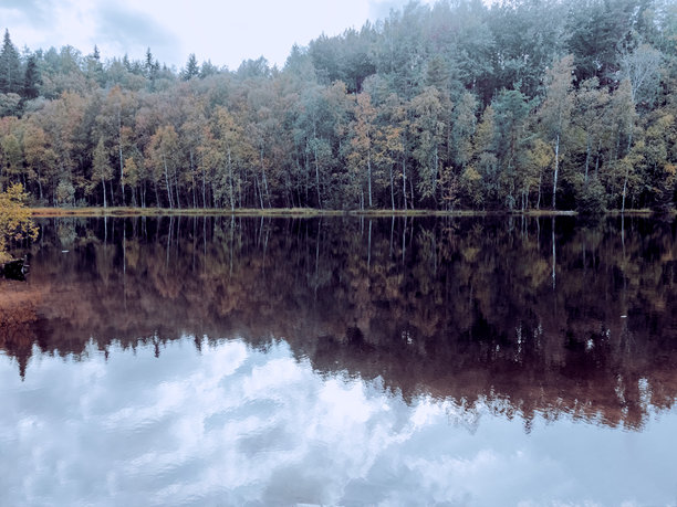 美丽的风景。湖边高大的针叶树。高大的冷杉树。寒冷的北方景观。背景留有空白空间。室内海报。房屋的图片。室内摄影。图片下载