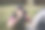 成熟男性在露营旅行中拍摄自然和风景的照片图片下载
