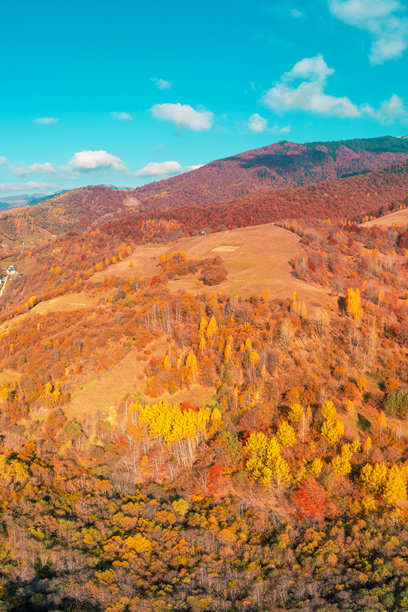 阳光明媚的秋日，从高处俯瞰五彩斑斓的山坡。美丽的风景。喀尔巴阡山脉，乌克兰。竖版照片图片下载
